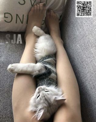 贵女古装电视剧在线观看_超清免费高清观看