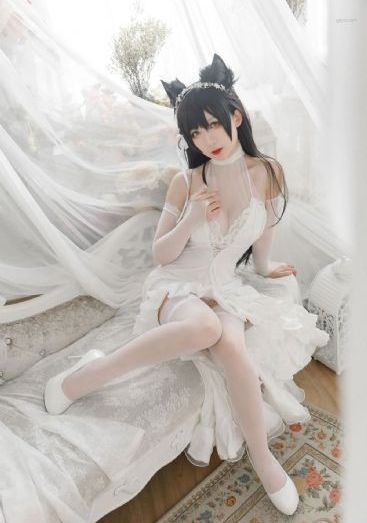 《以爱为营》电视剧免费观看_超清神马影院手机在线
