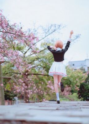 电视剧梅花烙_欧美在线观看
